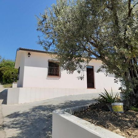 Villa Paradiso Montegiordano Zewnętrze zdjęcie